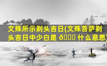 文殊所示剃头吉日(文殊菩萨剃头吉日中少白是 🍁 什么意思)